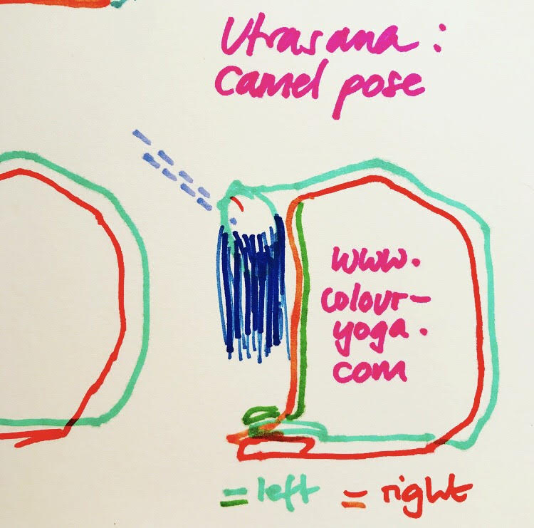 Image of Camel Pose - Utrasana - Colour Yoga UK - Sketch - #colouryogaukstickpics