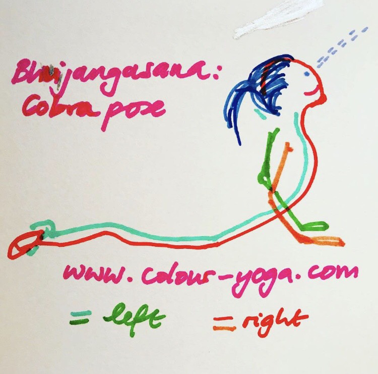 Cobra Pose Yoga - Bhujangasana - Sketch-Colour Yoga UK - #colouryogaukstickpic